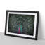 Mesmerising Pink & Green Peacock - Picture Frame Graphic Art Print-55739999-55739993
