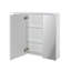 Profil Mirror Cabinet-1707035447