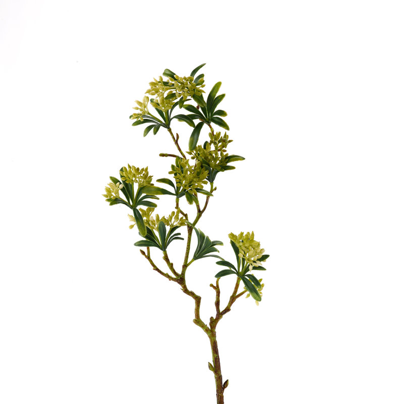 Bud Spray Arrangement