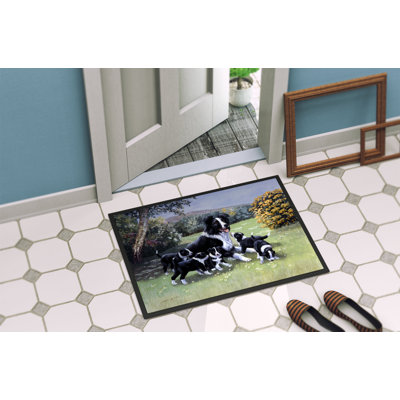 Non-Slip Outdoor Doormat
