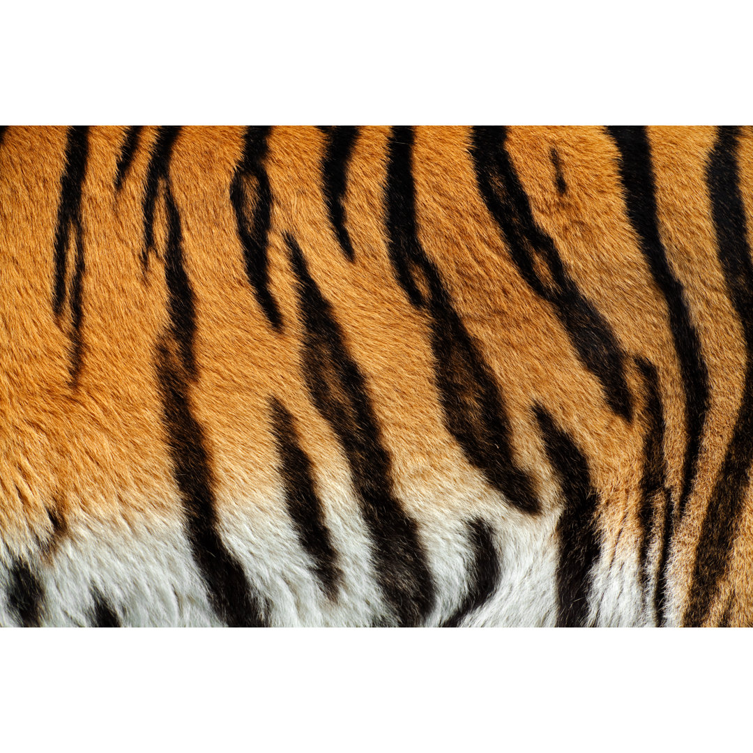 Tiger Skin von Andyworks - Leinwandbild