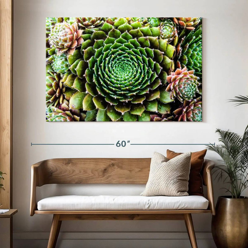 Harnek fleur comme plantes grasses, H 34 po x l 51 po