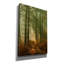 «Wyre Forest 3» par Ian Winistanley, art mural sur toile-102452296
