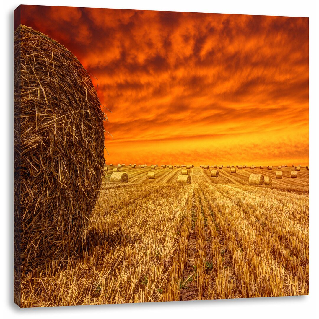 Leinwandbild Feld im Sonnenuntergang