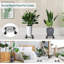 Plant Stand - Set of 3