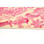 Tapis rose en laine noué à la main Deluna
