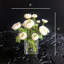 Ranunculus Flowers in Vase