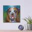 «Bull Dog» par St. Hilaire Elizabeth-203581444