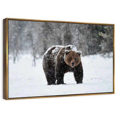 Ours grizzly d'hiver