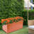 Sieme 31.5 X 16'' Metal Planter Box