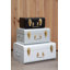 Forbush 3 Piece Accent Trunk Set-1766073455