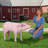 Porkchop the Pig, Lifesize Hog Statue
