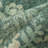 Sofia Oriental Green Area Rug-2086236832