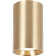 Genesis Flush Ceiling Light