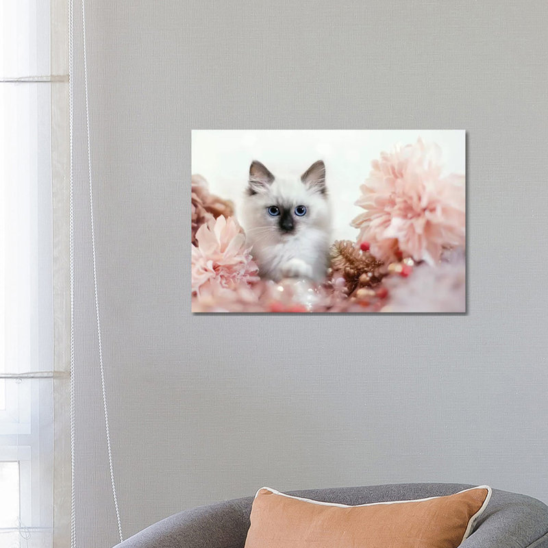 Pretty In Pink Kitten by Karen Burke - Wrapped Canvas Print, 45.72cm H x 66.04cm W x 1.91cm D