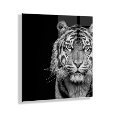  Tigre, portrait d'animal minimaliste sur fond noir, art acrylique flottant par le Creative Bunch Studio 23 x 23