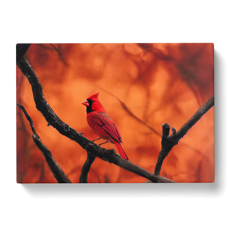 Cardinal Bird Vol.19 - Wrapped Canvas, 40cm H x 60cm W x 3cm D