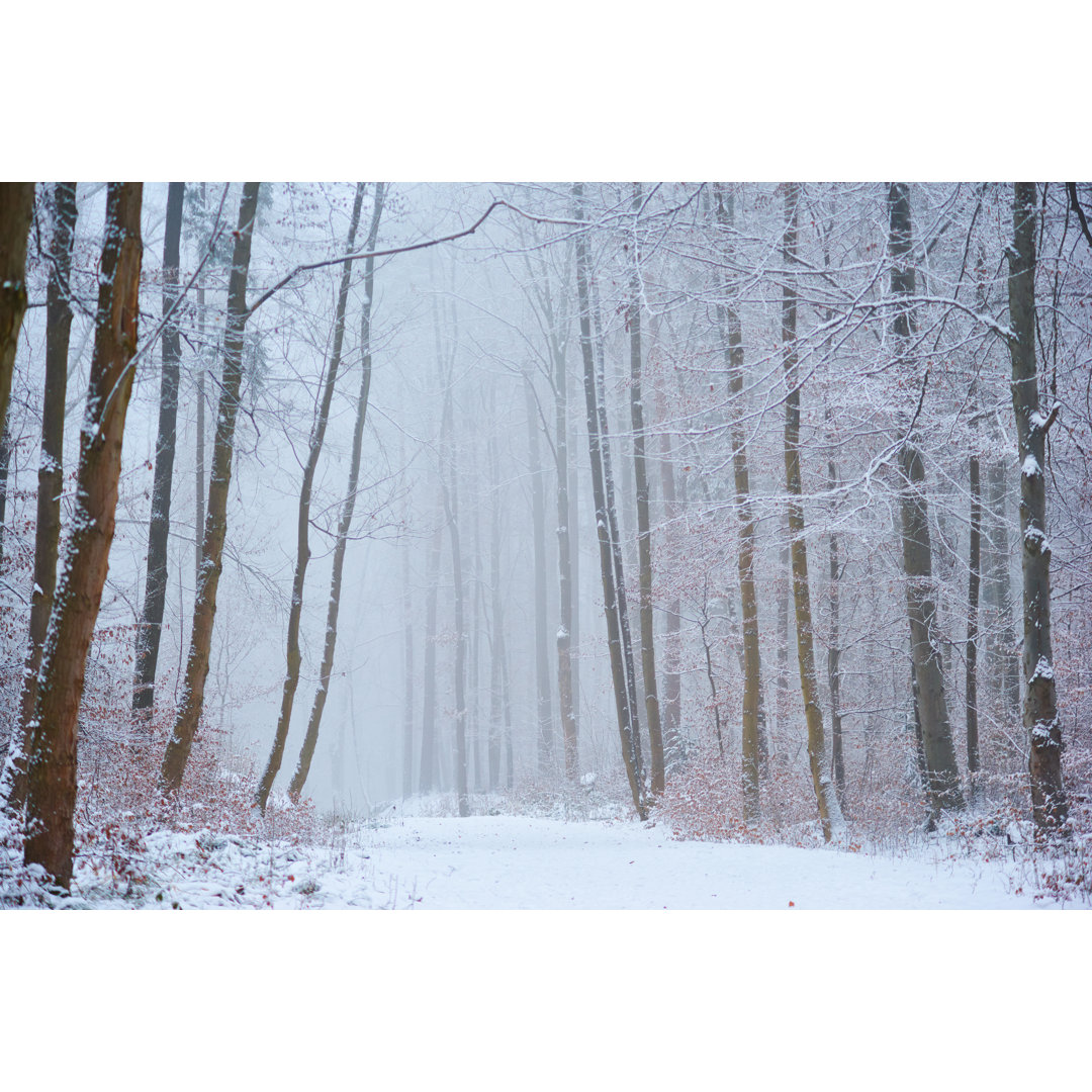 Mystischer Winterwald