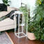 Nijel Plant Stand 1 Tier-676499177