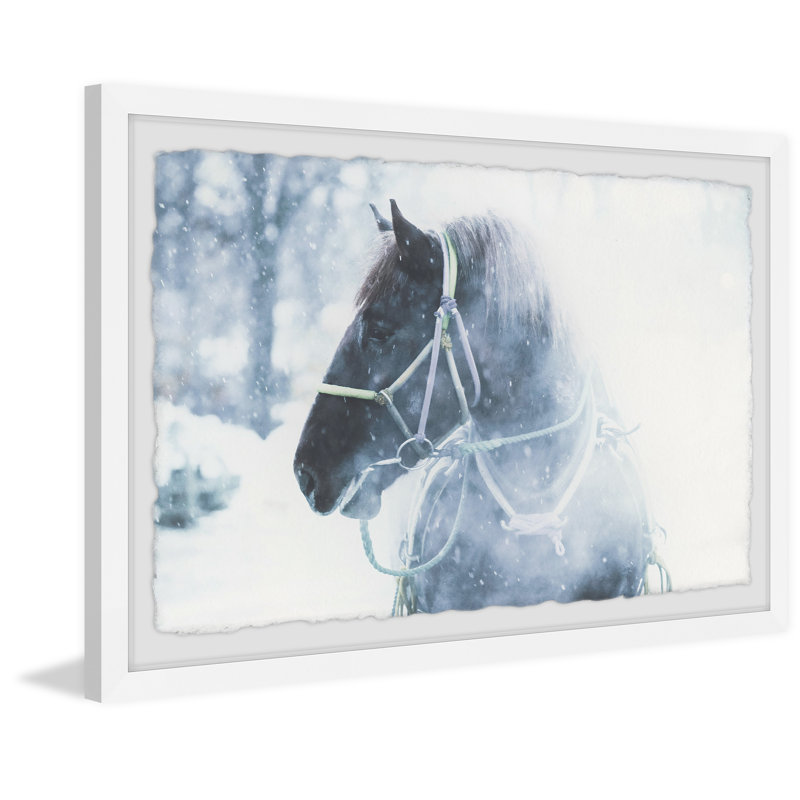 Marmont Hill - Single Picture Frame Print, 91cm H x 61cm W