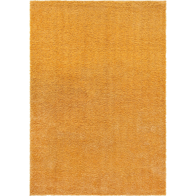 Carlosadrian Oriental Indoor Rug, Rectangle 10' x 14'