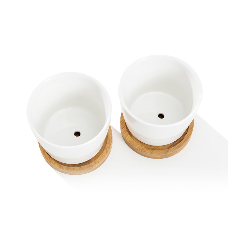 Ceramic Pot Planter