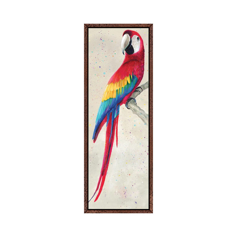 Parrot by Kim Haskins - Panoramic Print on Canvas, Classic Brown Wood Framed, 30.48 cm H x 91.44 cm W