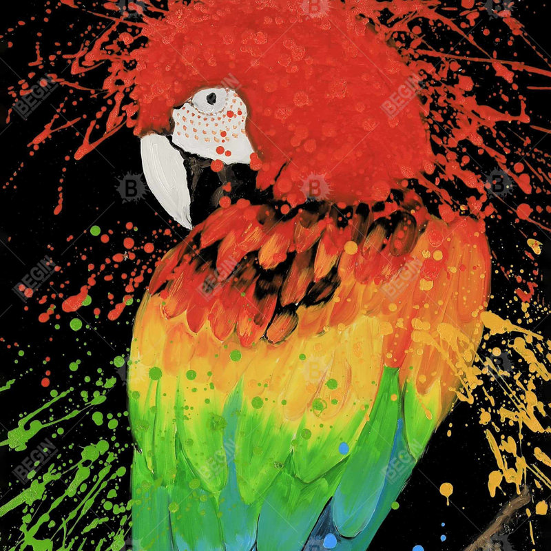 «Rainbow Parrot»