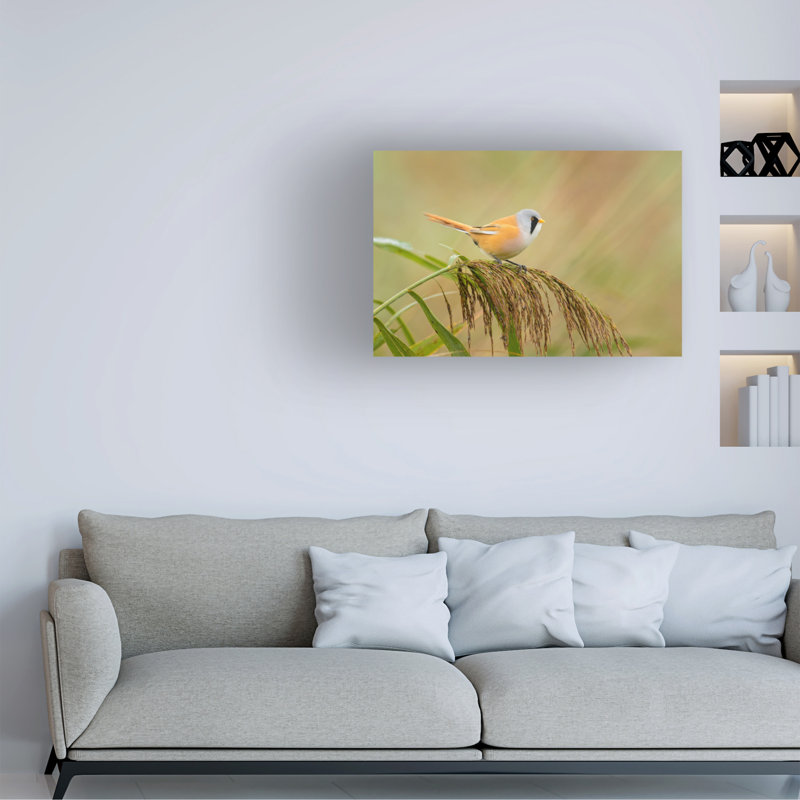 Richard Guijt Check My Qbeardq Canvas Art, 30" H x 47" W