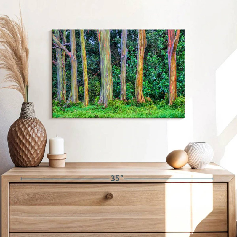 " Eucalyptus Rainbow Trees ", 16" H x 24" W x 1.25" D