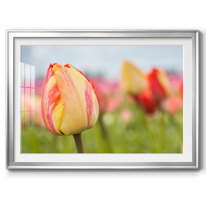 " Spring Sherbet ", Silver, 15" H x 21" W x 1.5" D