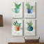 " Potted Basil " 4 - Pieces Painting Print-234246328