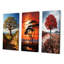 «Baobab Tree Serenade», 3 pièces sur toile-622488239-622488230