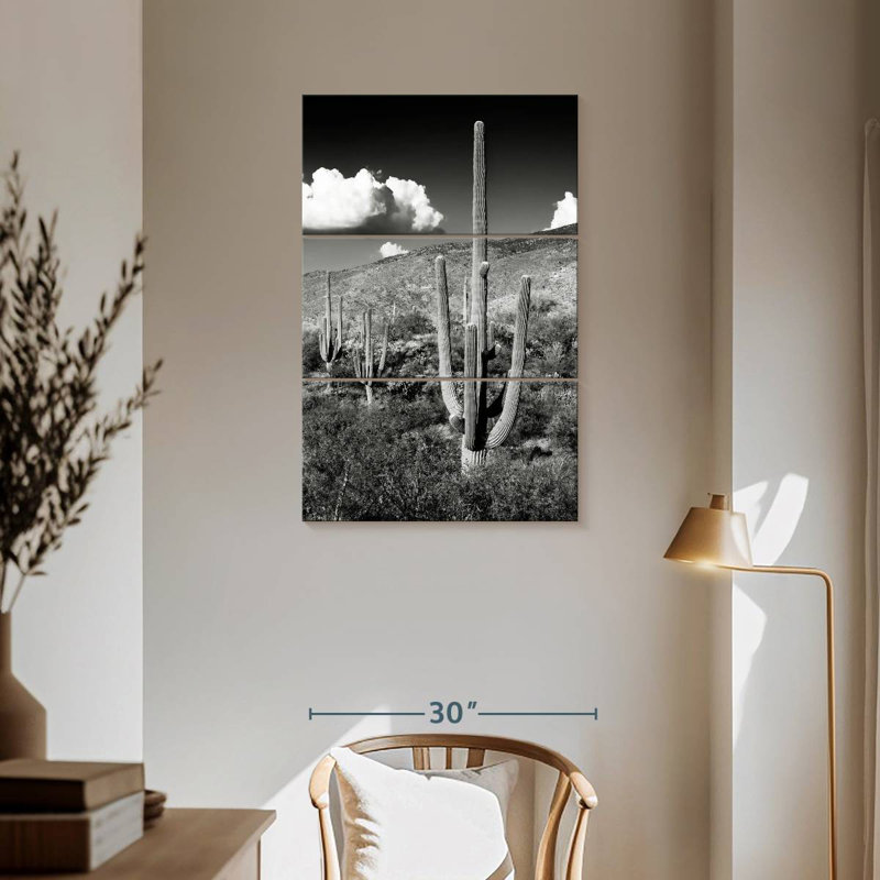 Harnek - Arizona noir - Saguaro Cactus Valley, H 57 po x l 36 po