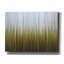 «Sea Grass Canvas» par Katherine Gendreau, art mural sur toile-1736599411
