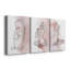 Illustration de la figure I - ensemble de 3 reproductions d'art sur toile tendue-846530673
