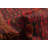 Riker Brown Rug 3'3" x 5'9"