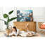 Eammon Cork Corkboard / Bulletin Board