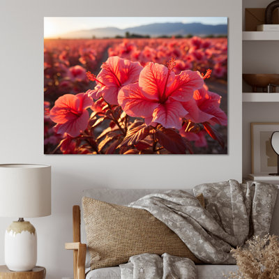 Hibiscus Field Vue aérienne, impression sur toile