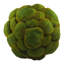 Moss Vase Filler-1474463024