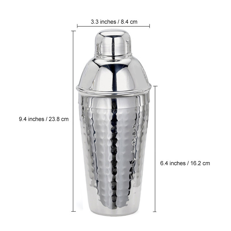 Stainless Steel Shaker