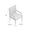 Monarch Upholstered Arm Chair