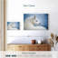 Husky blanc pur Brampt-108907642