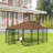 Outside Dog Kennel