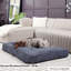 Lit pour chien avec coussin de soutien-794393534-794393528