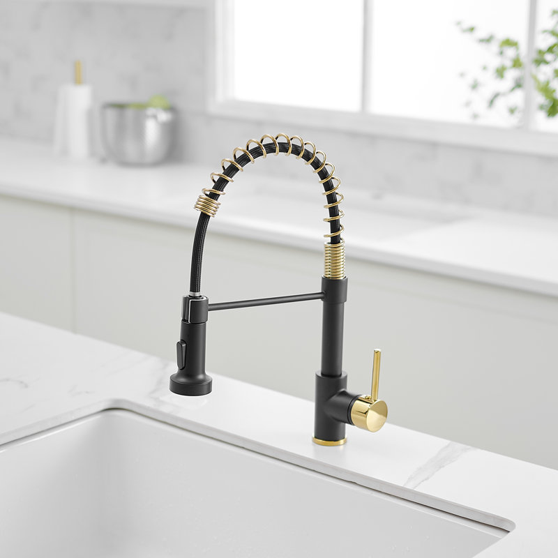 FLG Pull Down Kitchen Faucet