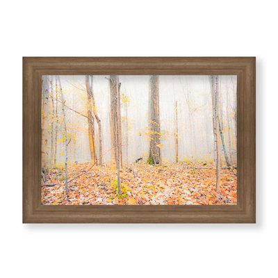 Dans une forêt d'automne par Hal Halli. Impression sur papier - Montée et encadrée