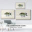 «Tropical Fish Collection VI», reproduction sur toile à cadre flottant-94354108-94354109