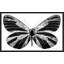 «Silver Butterfly (Horizontal)» par Jodi - impression-1135630474-1135630475