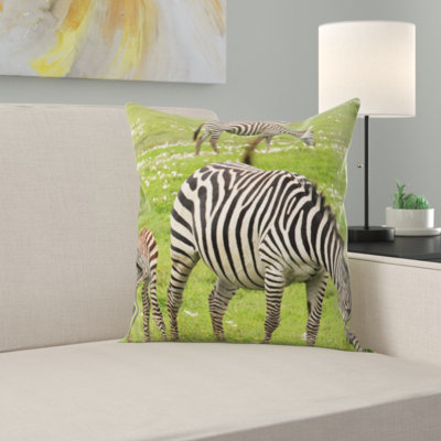 Coussin zèbre baby